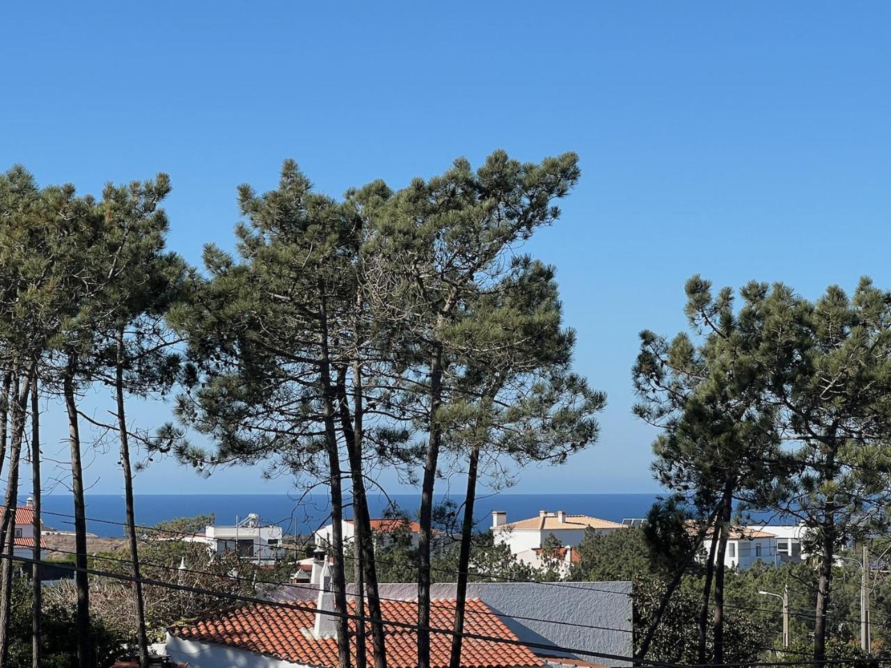 אלג'זור Casa Colina, Walking Distance To Arrifana Beach מראה חיצוני תמונה